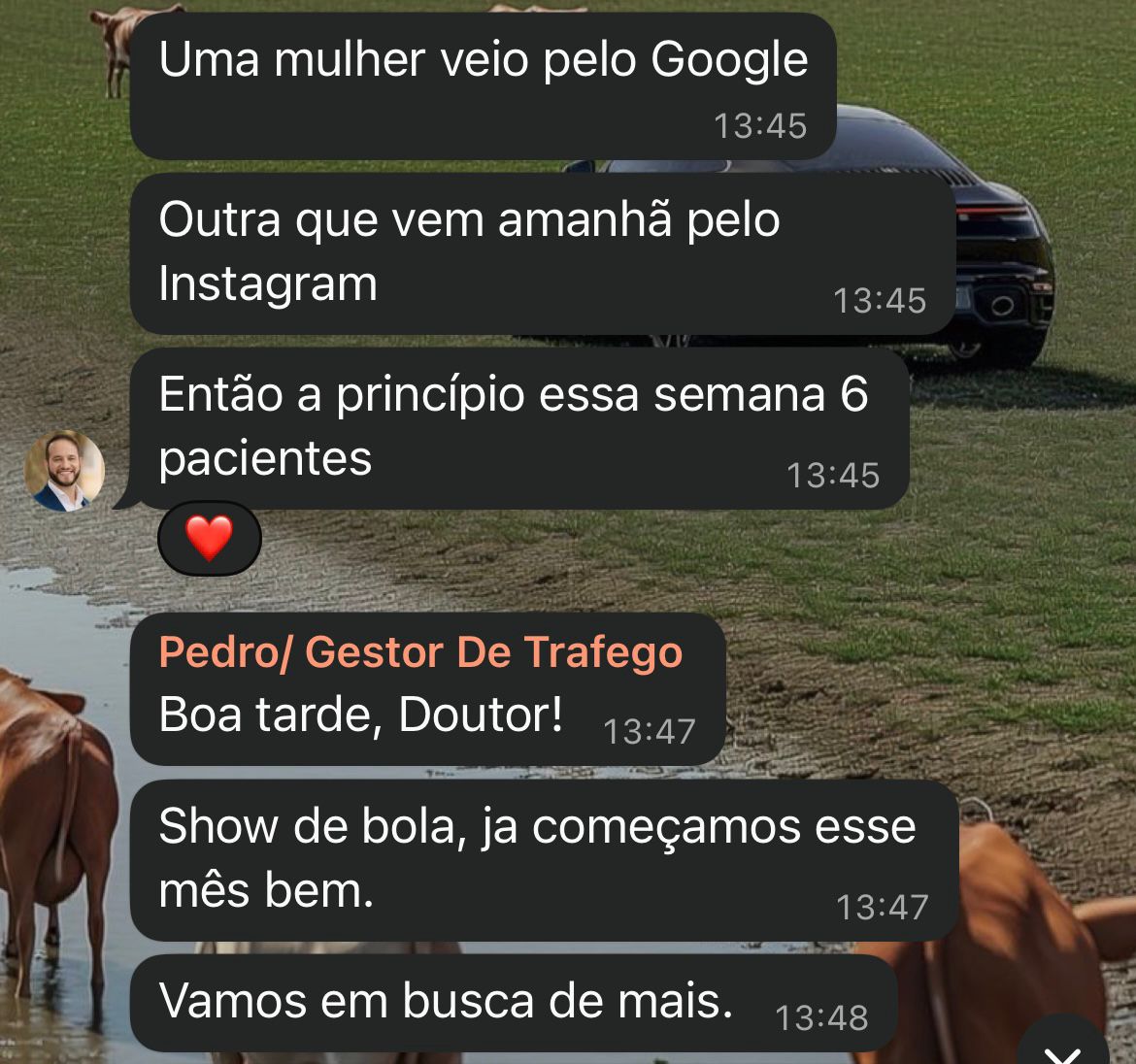 Conversa no WhatsApp: Pedro Rocket Midia reportando resultados de tráfego para um cliente